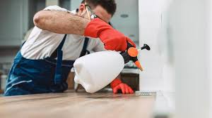 Best Commercial Pest Control  in Collingdale, PA